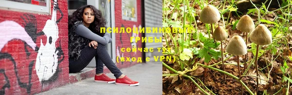 кокс Баксан