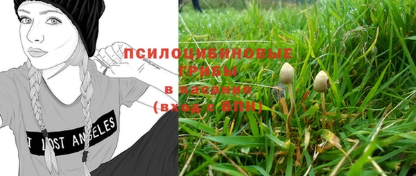 кокс Баксан