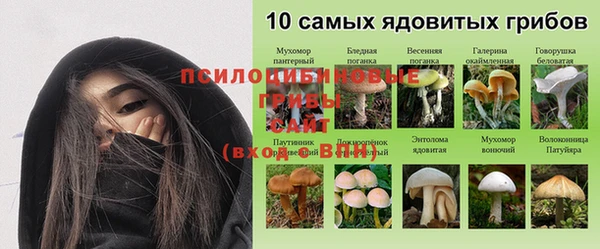 ГАЛЛЮЦИНОГЕННЫЕ ГРИБЫ Балабаново
